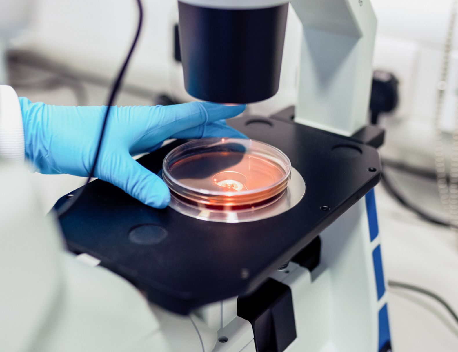 student using microscope